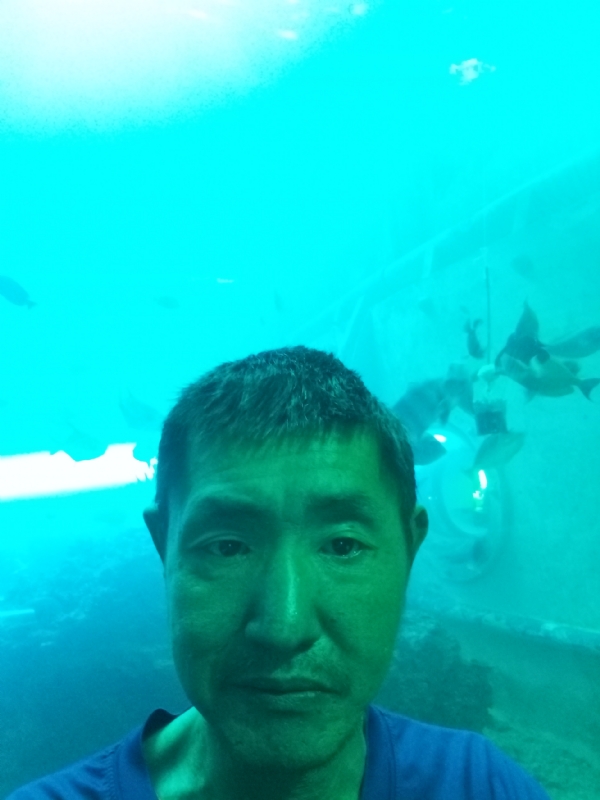 陸戰隊的第一张照片--宜宾相亲服务中心