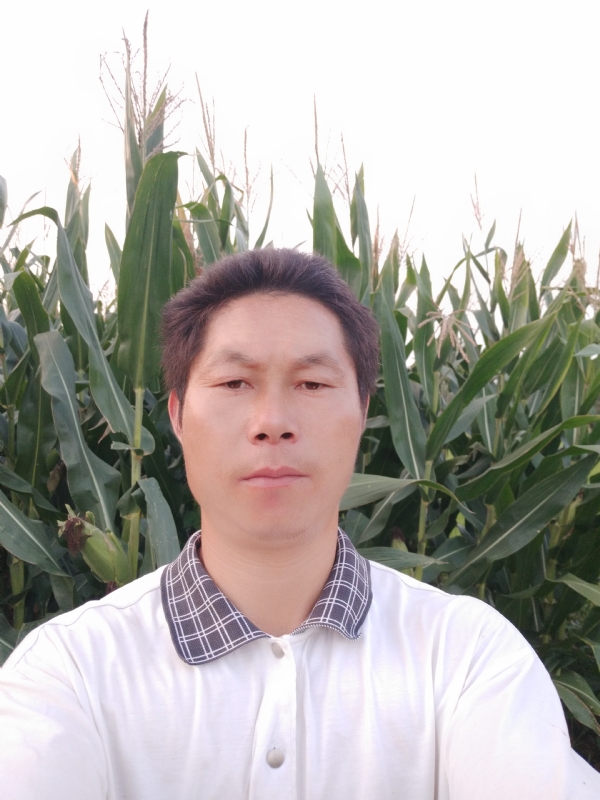 四海游龙的第二张照片--宜宾相亲服务中心