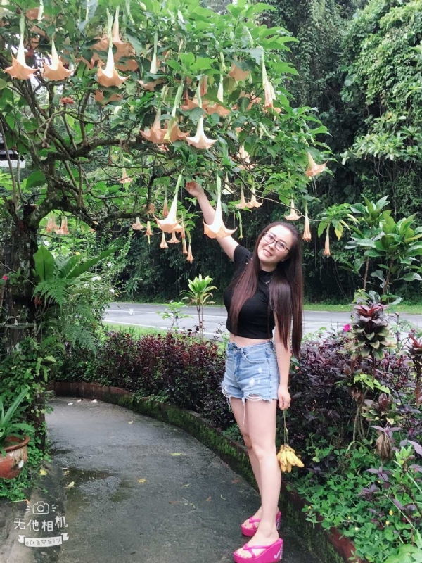 离异单身无子的第二张照片--宜宾相亲服务中心