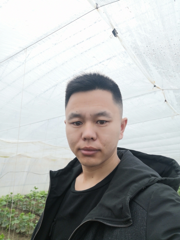 宇成的第二张照片--宜宾相亲服务中心