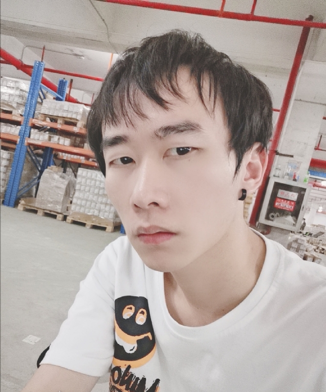 巷子里的猫的第一张照片--宜宾相亲服务中心