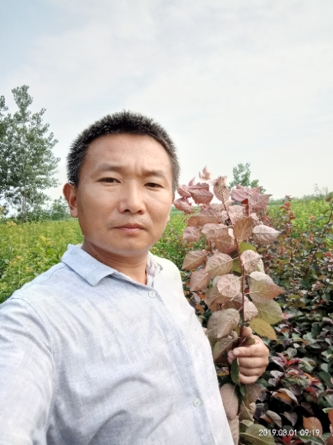 孩子爸的第二张照片--宜宾相亲服务中心