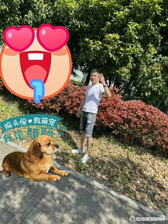 我若不坚强谁替我勇敢的第五张照片--宜宾相亲服务中心