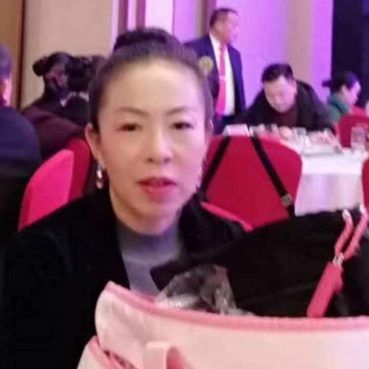 中秋桂花玉兔的第四张照片--宜宾相亲服务中心