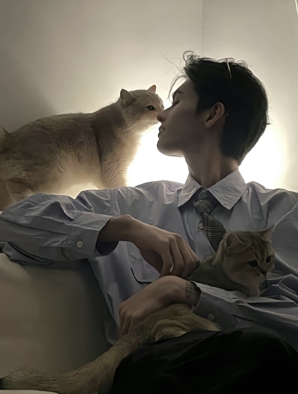 怪猫的第一张照片--宜宾相亲服务中心