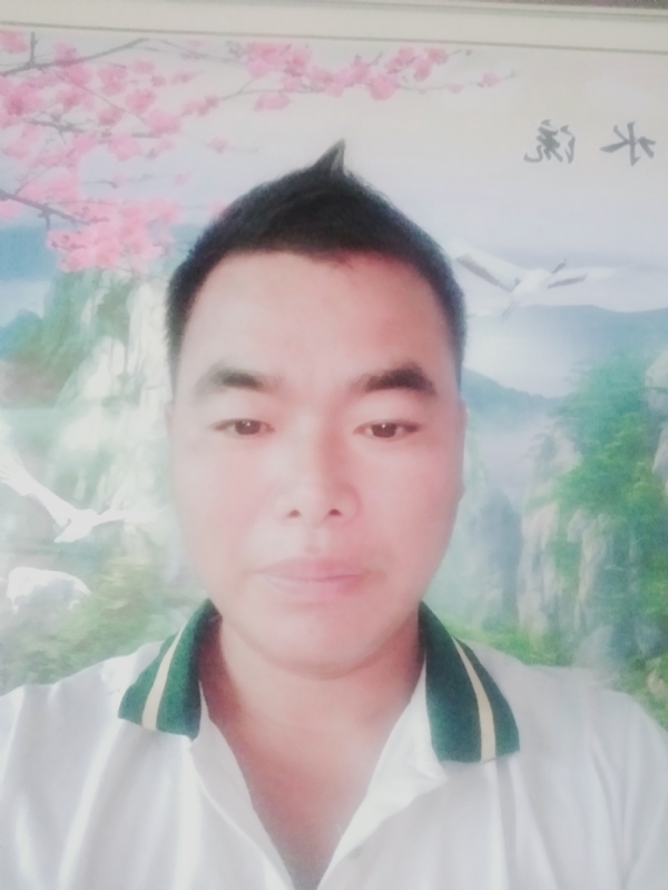 阳光男孩的第二张照片--宜宾相亲服务中心
