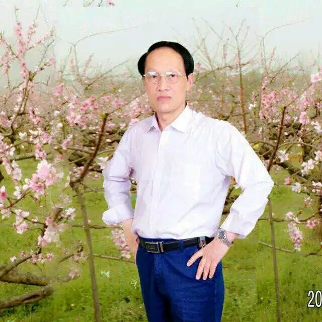 枫叶的第一张照片--宜宾相亲服务中心